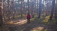 Bild 8 (50 Bildaufrufe)