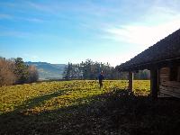 Bild 14 (47 Bildaufrufe)