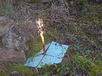 Bild 15 (53 Bildaufrufe)
