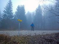 Bild 1 (107 Bildaufrufe)