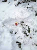 Bild 6 (83 Bildaufrufe)