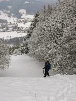 Bild 9 (80 Bildaufrufe)