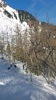 Bild 4 (70 Bildaufrufe)