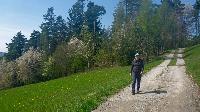 Bild 6 (36 Bildaufrufe)
