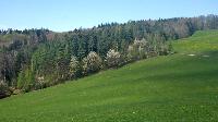 Bild 8 (46 Bildaufrufe)