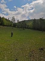 Bild 2 (58 Bildaufrufe)