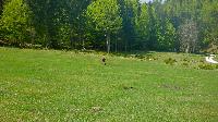 Bild 3 (62 Bildaufrufe)