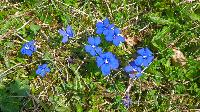 Bild 4 (63 Bildaufrufe)