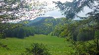 Bild 22 (53 Bildaufrufe)