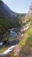 Bild 14 (52 Bildaufrufe)