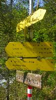 Bild 16 (53 Bildaufrufe)