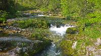 Bild 17 (51 Bildaufrufe)
