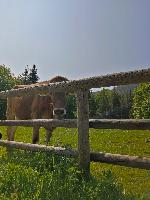 Bild 19 (51 Bildaufrufe)