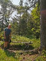 Bild 21 (61 Bildaufrufe)