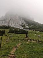 Bild 3 (96 Bildaufrufe)