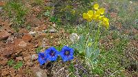 Bild 24 (80 Bildaufrufe)