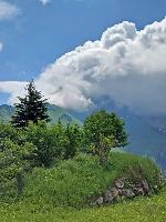 Bild 3 (79 Bildaufrufe)