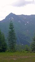 Bild 17 (80 Bildaufrufe)