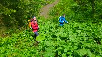 Bild 21 (72 Bildaufrufe)