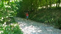 Bild 1 (51 Bildaufrufe)