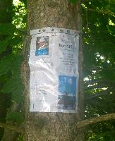 Bild 4 (44 Bildaufrufe)