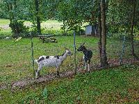 Bild 6 (46 Bildaufrufe)