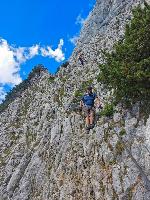 Bild 27 (84 Bildaufrufe)