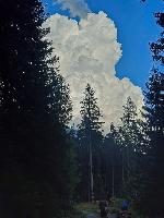Bild 29 (77 Bildaufrufe)
