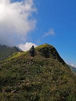 Bild 5 (91 Bildaufrufe)