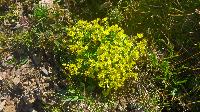 Bild 12 (90 Bildaufrufe)