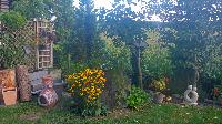 Bild 8 (50 Bildaufrufe)