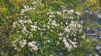 Bild 2 (65 Bildaufrufe)
