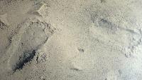 Bild 39 (67 Bildaufrufe)