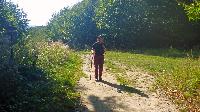 Bild 1 (36 Bildaufrufe)