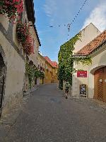 Bild 1 (60 Bildaufrufe)