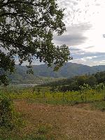 Bild 12 (49 Bildaufrufe)
