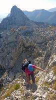 Bild 8 (74 Bildaufrufe)
