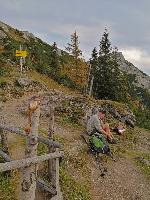 Bild 27 (60 Bildaufrufe)