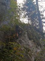 Zinken (50 Bildaufrufe)