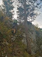 Bild 4 (55 Bildaufrufe)