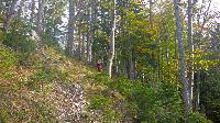 Bild 11 (55 Bildaufrufe)