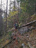 Bild 22 (55 Bildaufrufe)