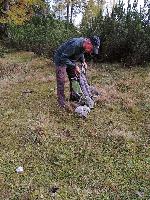 Bild 19 (37 Bildaufrufe)