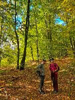 Bild 3 (68 Bildaufrufe)
