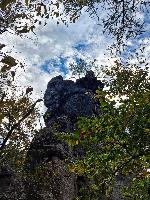Bild 7 (87 Bildaufrufe)