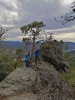 Bild 9 (96 Bildaufrufe)