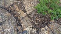 Bild 13 (88 Bildaufrufe)
