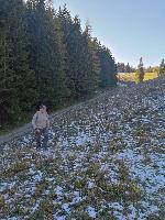 Bild 3 (60 Bildaufrufe)
