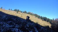 Bild 4 (61 Bildaufrufe)