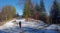 Bild 4 (59 Bildaufrufe)